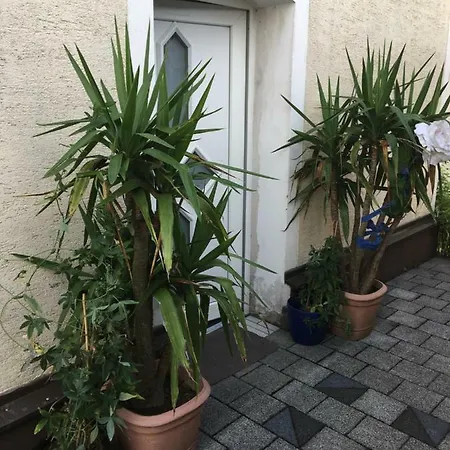 Haus Moraig Homestay *